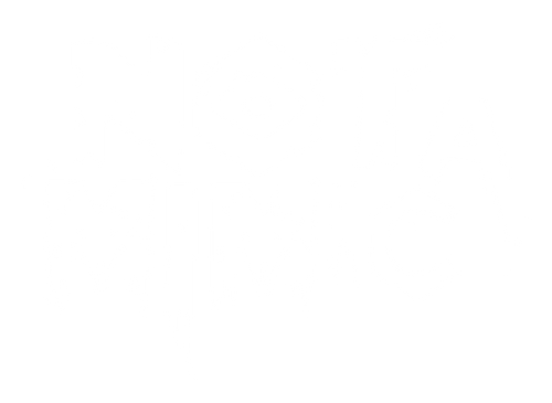 Not A Mimic logo in distressed fantasy lettering